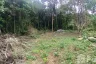 Land for sale in Mae Nam, Surat Thani