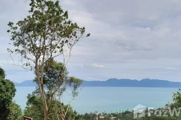 Land for sale in Mae Nam, Surat Thani