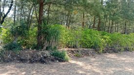 Land for sale in Mai Khao, Phuket