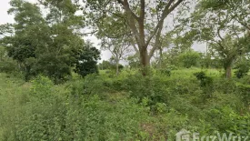 Land for sale in Mai Khao, Phuket