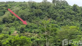 Land for sale in Chalong, Phuket