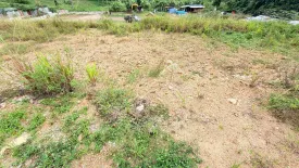 Land for sale in Bo Phut, Surat Thani