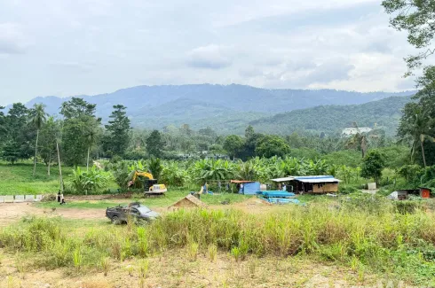 Land for sale in Bo Phut, Surat Thani
