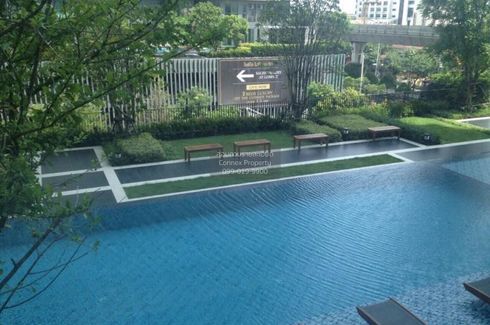 2 Bedroom Condo for rent in Ideo Mobi Sukhumvit 81, Bang Chak, Bangkok near BTS On Nut