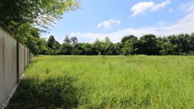 Land for sale in Nam Phrae, Chiang Mai