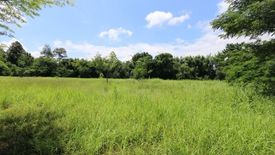 Land for sale in Nam Phrae, Chiang Mai