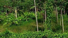 Land for sale in Mai Khao, Phuket