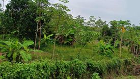 Land for sale in Mai Khao, Phuket