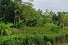 Land for sale in Mai Khao, Phuket