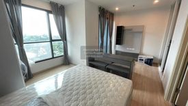 1 Bedroom Condo for rent in The Base Rama 9 - Ramkhamhaeng, Hua Mak, Bangkok near MRT Ramkhamhaeng 12