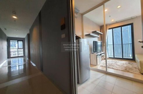 1 Bedroom Condo for rent in The Base Rama 9 - Ramkhamhaeng, Hua Mak, Bangkok near MRT Ramkhamhaeng 12