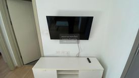 1 Bedroom Condo for rent in The Base Rama 9 - Ramkhamhaeng, Hua Mak, Bangkok near MRT Ramkhamhaeng 12