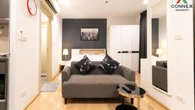 1 Bedroom Condo for rent in The Base Rama 9 - Ramkhamhaeng, Hua Mak, Bangkok near MRT Ramkhamhaeng 12