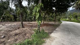 Land for sale in Ko Pha-ngan, Surat Thani