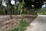 Land for sale in Ko Pha-ngan, Surat Thani
