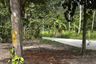 Land for sale in Ko Pha-ngan, Surat Thani