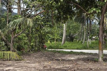 Land for sale in Ko Pha-ngan, Surat Thani