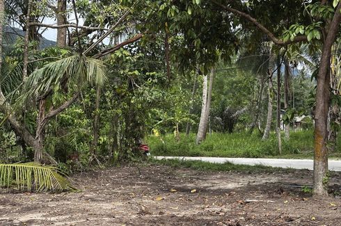 Land for sale in Ko Pha-ngan, Surat Thani