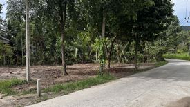 Land for sale in Ko Pha-ngan, Surat Thani