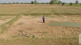 Land for sale in Samrong, Surin