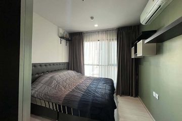 1 Bedroom Condo for rent in Life Sukhumvit 48, Phra Khanong, Bangkok near BTS Phra Khanong