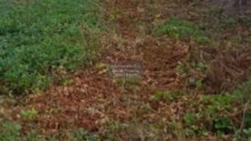 1 Bedroom Land for sale in Lat Lum Kaeo, Pathum Thani