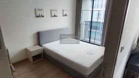 1 Bedroom Condo for rent in Serio Sukhumvit 50, Phra Khanong, Bangkok near BTS On Nut