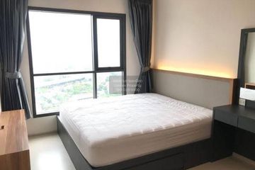 1 Bedroom Condo for rent in Life Sukhumvit 48, Phra Khanong, Bangkok near BTS Phra Khanong