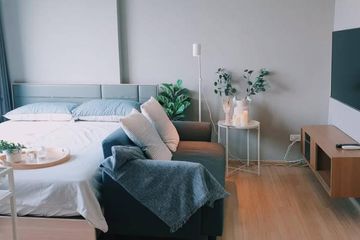 1 Bedroom Condo for rent in The Base Rama 9 - Ramkhamhaeng, Hua Mak, Bangkok near MRT Ramkhamhaeng 12