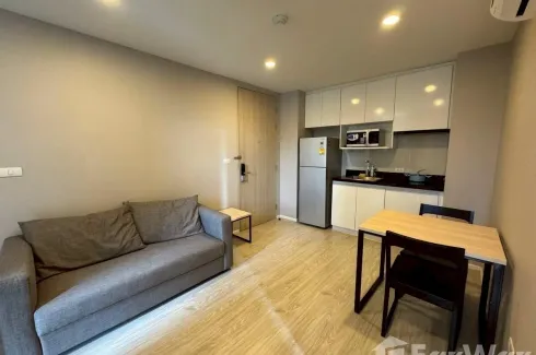 1 Bedroom Condo for rent in Palm Springs Nimman Areca, Suthep, Chiang Mai