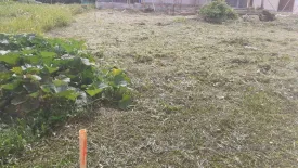 Land for sale in Rawai, Phuket