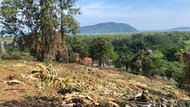 Land for sale in Rawai, Phuket