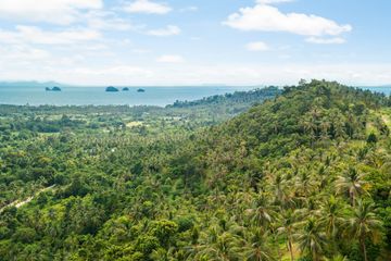 Land for sale in Taling Ngam, Surat Thani