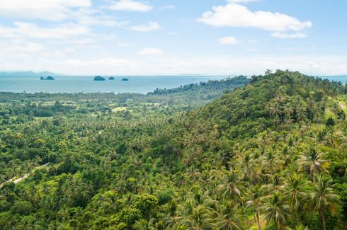 Land for sale in Taling Ngam, Surat Thani