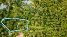 Land for sale in Taling Ngam, Surat Thani