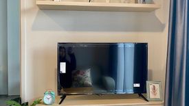 1 Bedroom Condo for rent in Dolce Lasalle, Bang Na, Bangkok near BTS Bang Na