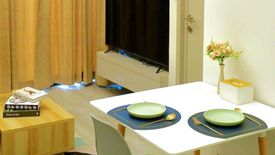 1 Bedroom Condo for rent in The Line sukhumvit 101, Bang Chak, Bangkok near BTS Punnawithi