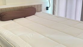 1 Bedroom Condo for rent in WYNE Sukhumvit, Phra Khanong, Bangkok near BTS Phra Khanong