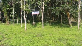 Land for sale in Taling Ngam, Surat Thani
