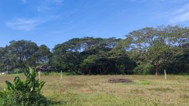 Land for sale in Suthep, Chiang Mai