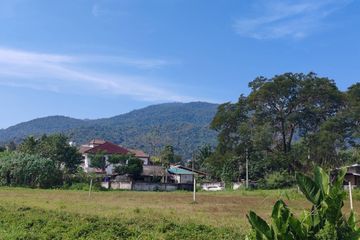 Land for sale in Suthep, Chiang Mai