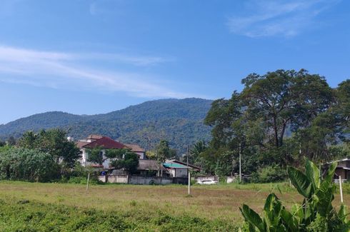 Land for sale in Suthep, Chiang Mai