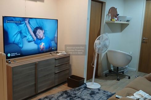 1 Bedroom Condo for rent in Zenith Place Sukhumvit 42, Phra Khanong, Bangkok near BTS Ekkamai