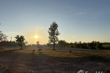 Land for sale in Mae Pa, Tak