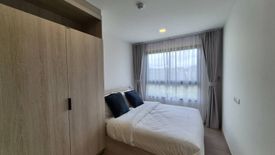 1 Bedroom Condo for rent in THE BASE Bukit, Wichit, Phuket