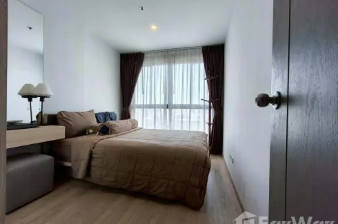 1 Bedroom Condo for sale in IDEO O2, Bang Na, Bangkok near BTS Bang Na