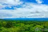 Land for sale in Na Sam, Phetchabun