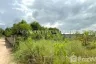 Land for sale in Wang Thong, Phitsanulok