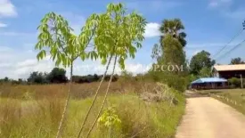Land for sale in Wang Thong, Phitsanulok