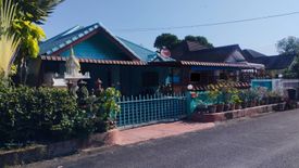 3 Bedroom House for sale in San Phak Wan, Chiang Mai